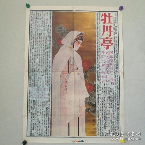 南方理工学院Finance Degree Certificate